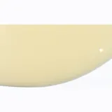 Air filter 100601260