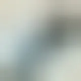 Luftfilter 100602120