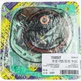 cylinder gasket set / 731A256TP