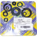 Centauro engine oil seal set / 722A133SR