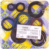 Motorwellendichtringsatz 1031703
