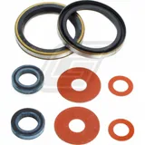 41x54x6.5 640A023FS Gabelwellendichtringset