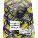full gaskets set / 722A135FL