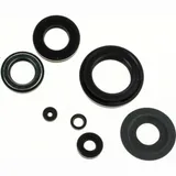 Engine oilseal set (6 pieces)