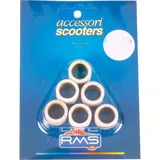Variomatikgewichte, Variomatikrollen 3,6 Gr. Variatorrollenkit 17X12 6PZ