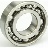 Bearing 6004