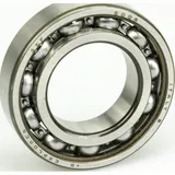 Bearing 6006