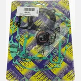 Motor gasket set / 666A120FL