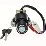 ignition switch 2571019