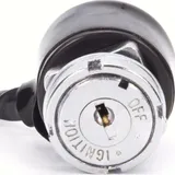 ignition switch 2571037