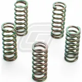 Kupplungsfedern Set für YZ125 '02-04 + YFM660R Raptor '01-05