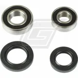 wheel bearing kit for TRX400EX '02-09