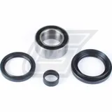 wheel bearing kit for TRX420 '07-13
