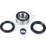 wheel bearing kit for TRX500FA/FE '05-09