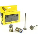 Stahlauslassventil u. Federn Set für KTM250SX-F '13-15
