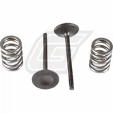 steel exhaust valve/spring kit for RM-Z450 '08-20 + RMX450Z