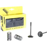 Stahlauslassventil u. Federn Set für YZ/WR450F '03-09