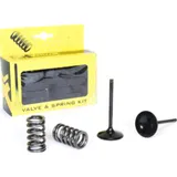 steel intake valve/spring kit for CRF450R '09-16