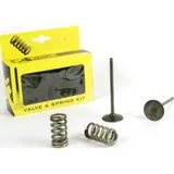 steel intake valve/spring kit for KTM250SX-F '13-15