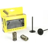 steel intake valve/spring kit for KTM350EXC-F '12-16