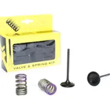 steel intake valve/spring kit for KX250F '09-10