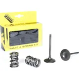 steel intake valve/spring kit for KX450F '06-08