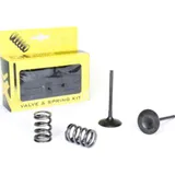 steel intake valve/spring kit for RM-Z450 '05-06