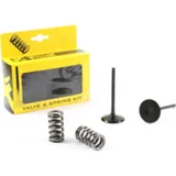 steel intake valve/spring kit for YZ450F'14-17+WR450F'16-18