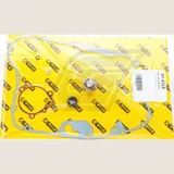 water pump rebuild kit for KSF250 Mojave '87-04