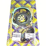 Full gaskets set 411A350FL