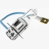 Glühbirne, Birne Glühlampe 12V 100W Pk22s H3 (1 St.) E-Geprüft
