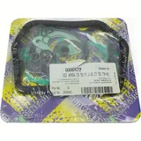 cylinder gasket set / 666A-042TP