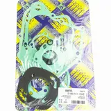 motor gasket set 666A079FL