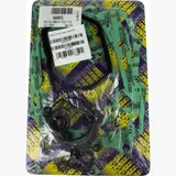 motor gasket set / 666A087FL