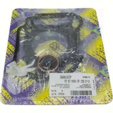 cylinder gasket set 666A115TP