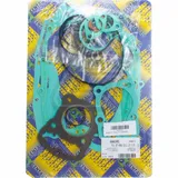 Full gaskets set 666A124FL