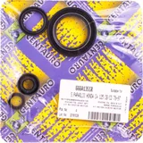 oil seals set 666A135SR