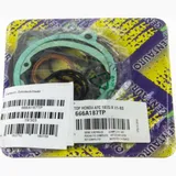 Top gaskets set 666A187TP
