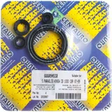 oil seals set 666A945SR