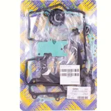 Full gaskets set 666A996FL