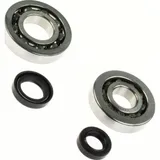 crankshaft bearing set heavy duty incl. oil seals for Kymco, SYM horizontal