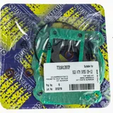 Top gaskets set 731A139TP
