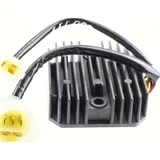 Regulator 7695124