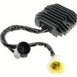 Regulator 7695419
