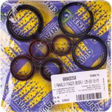 Centauro oil seals set 880A203SR