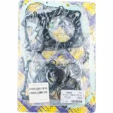 Full gaskets set 933A462FL