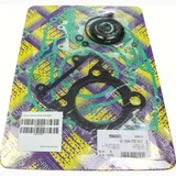 Full gaskets set 990A036FL