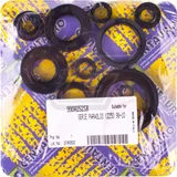 Centauro engine oil seal set