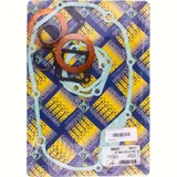 Full gaskets set 990A259FL