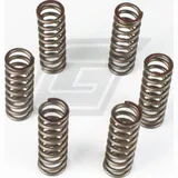 Premium clutch spring kit CSK037